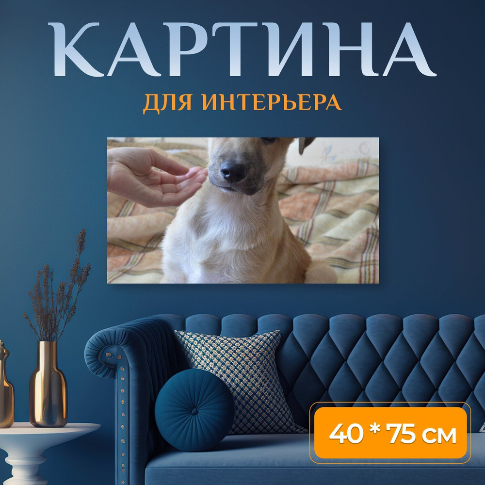 Картина на холсте "Щенок, дворняжка, собака" на подрамнике 75х40 см. для интерьера  #1