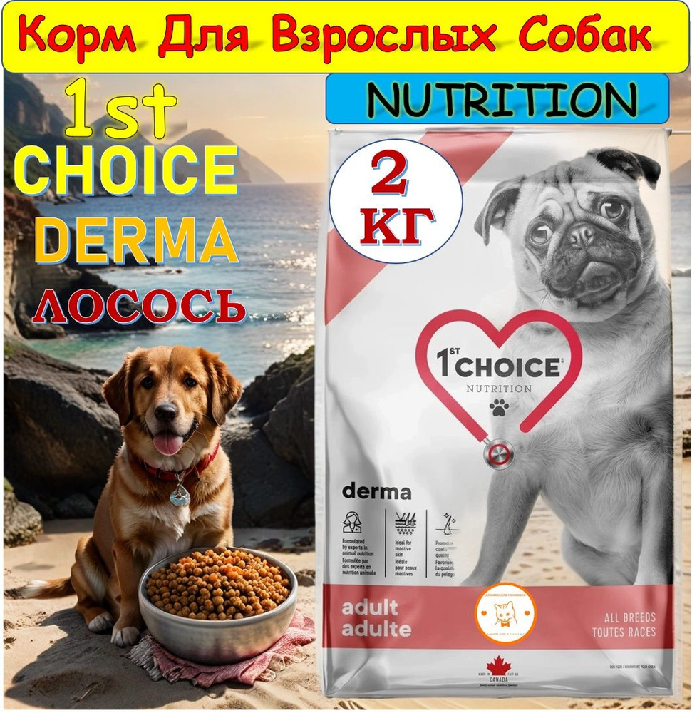 1st CHOICE GF DERMA - 2 кг сухой корм с лососем для взрослых собак с гиперчувствительной кожей  #1