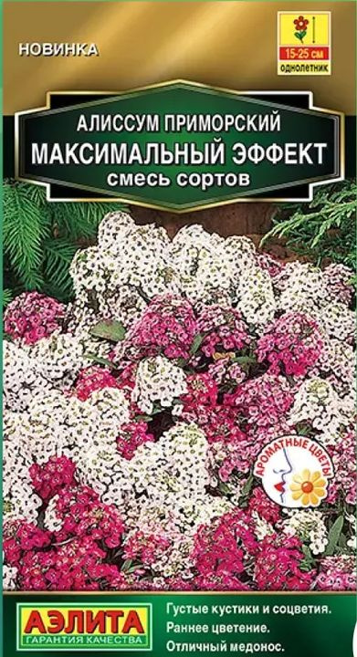 Семена Алиссум Максимальный эффект, смесь сортов (0,05 г) - Агрофирма Аэлита  #1