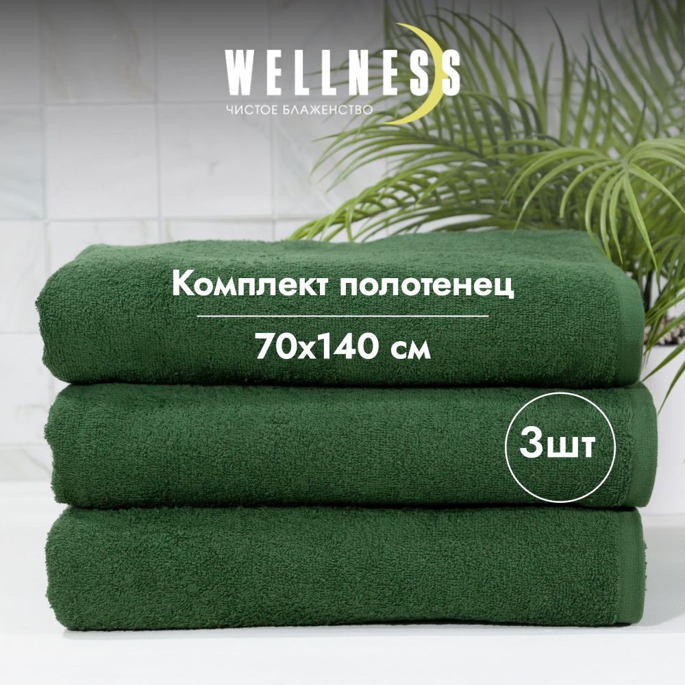 Полотенце махровое тонкое 70х140 3 шт. банное Wellness #1