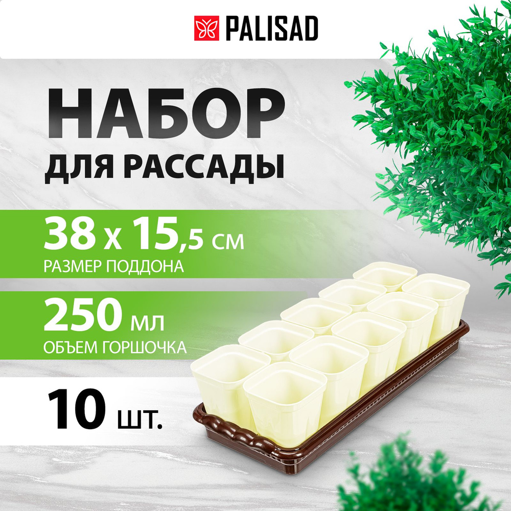 Набор для рассады с поддоном PALISAD, 380 х 155 х 40 мм, горшочки для рассады, 10 штук по 250 мл, с выдвижным #1