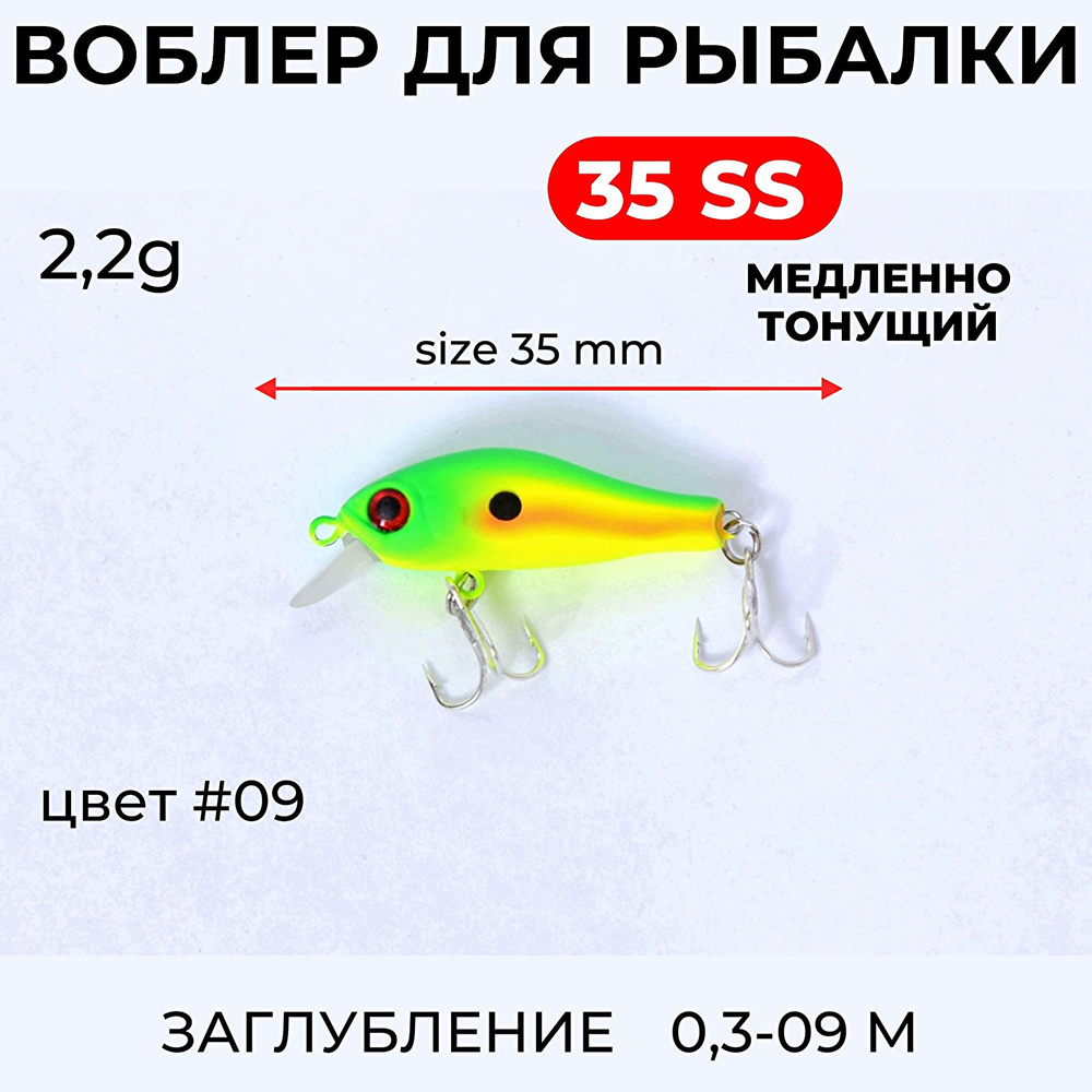 Воблер для рыбалки DAYO RIGGE (РИДЖ) 35 SS minnow (минноу) 2.2g цв.09 #1