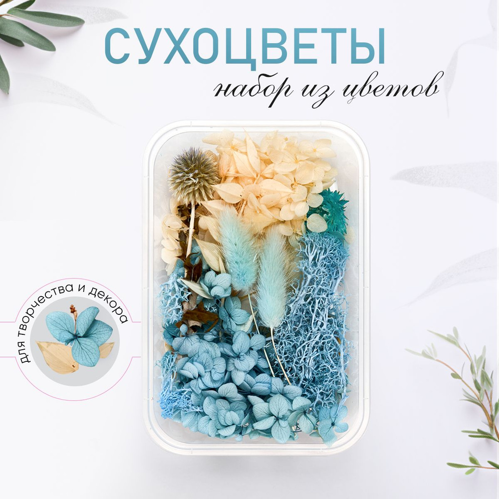 Сухоцветы, 40 гр #1