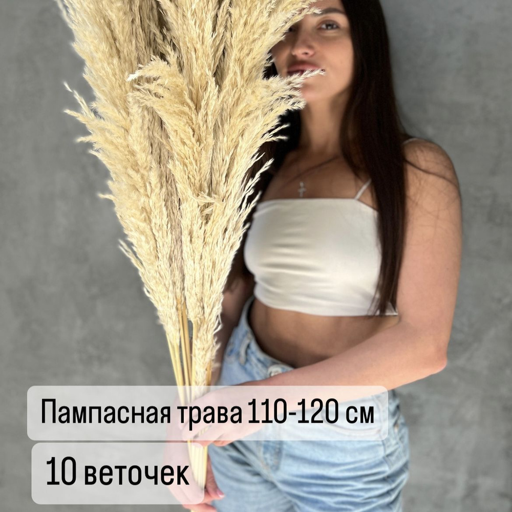 ROZASHOP Сухоцветы Пампасная трава, 120 см, 700 гр, 10 шт #1