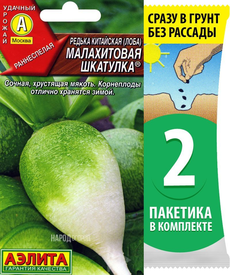 Семена Редька китайская (лоба) Малахитовая Шкатулка, 2 пакетика по 1г/100шт  #1