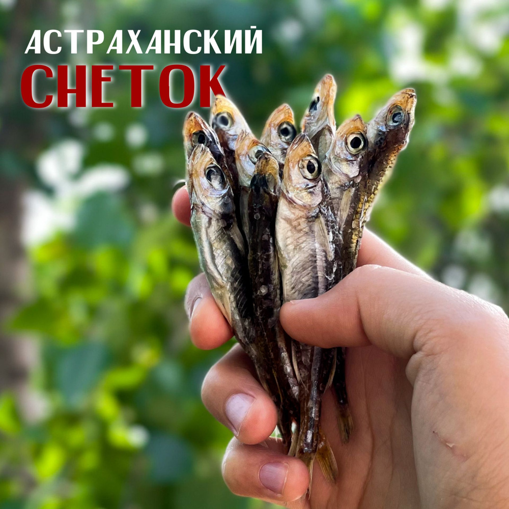 Мелкая вяленая рыбка Снеток, как рыбные семечки (золотые с жирочком) из Астрахани, 500 грамм  #1