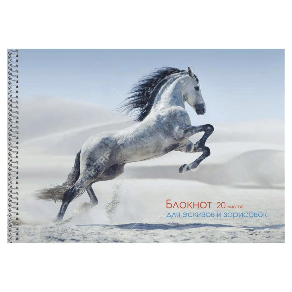 Альбом для эскизов А4, 20 листов на гребне "Грациозная лошадь", обложка мелованный картон, блок офсет #1