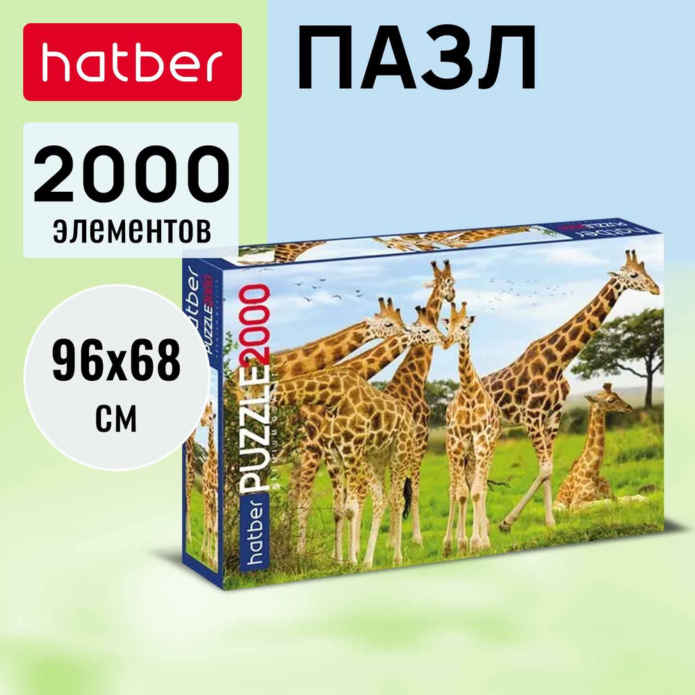 Пазлы Hatber premium 2000 элементов 960х680мм -Жирафы- #1