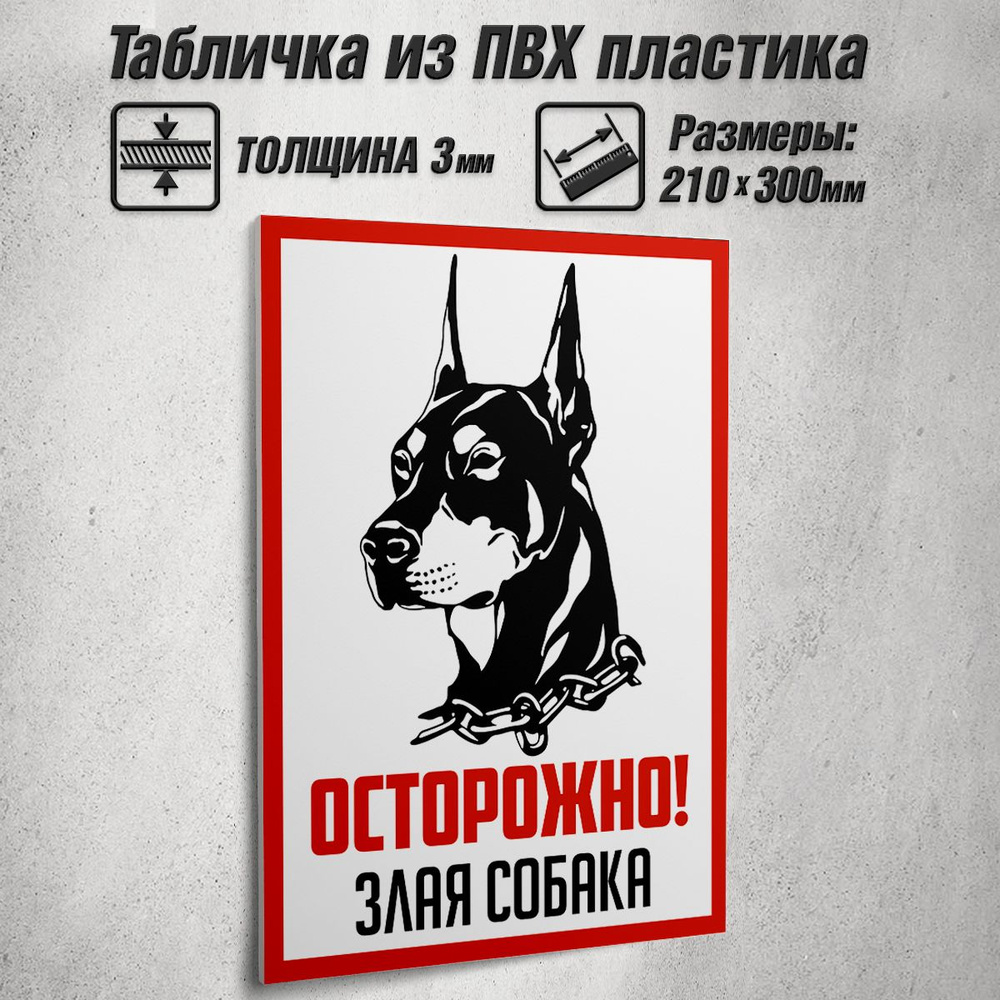 Информационная табличка "Осторожно! Злая собака" / 21x30 см.  #1