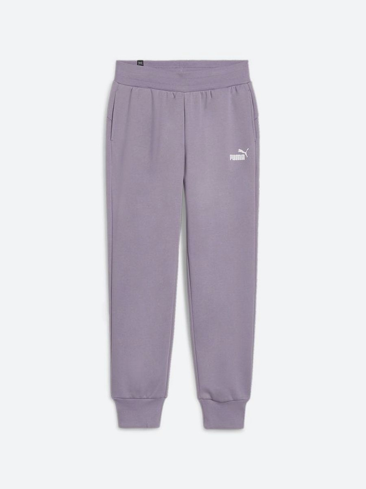 Брюки спортивные PUMA Ess Sweatpants Fl Cl (S) #1