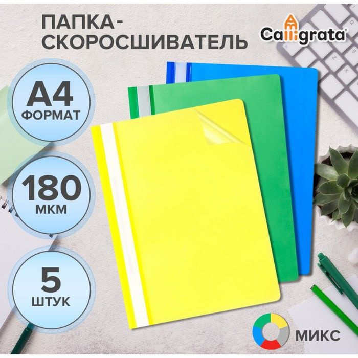 Набор папок-скоросшивателей 5шт. Calligrata, А4, 180мкм, с прозрачным верхом  #1