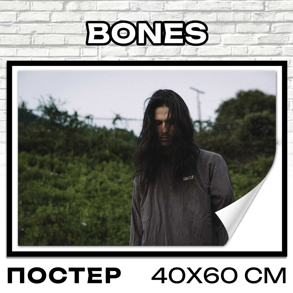 Постер на стену интерьерный BONES 40x60 см плакат на стену #1