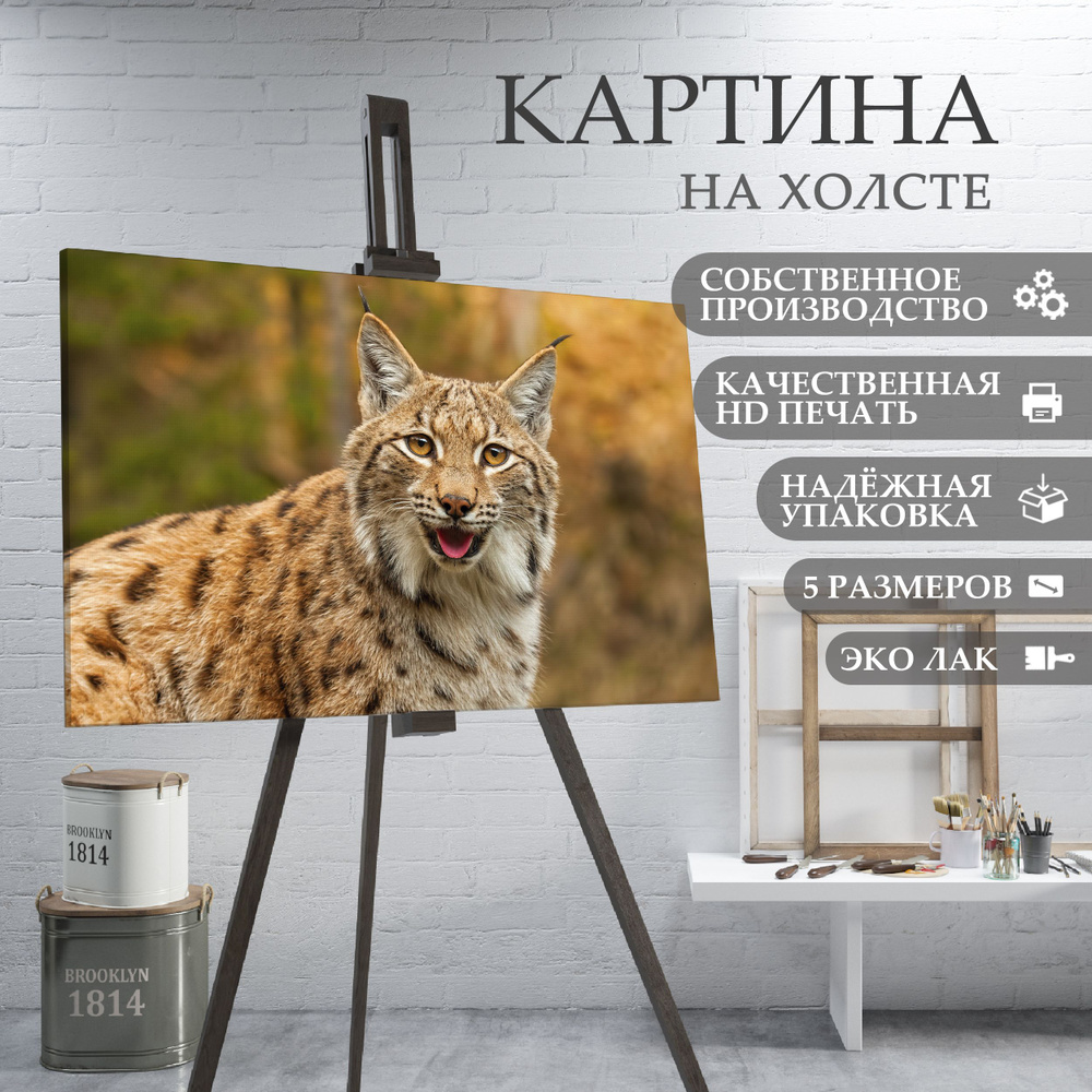 ArtPrintPro Картина "дикая кошка Рысь (21)", 60  х 40 см #1