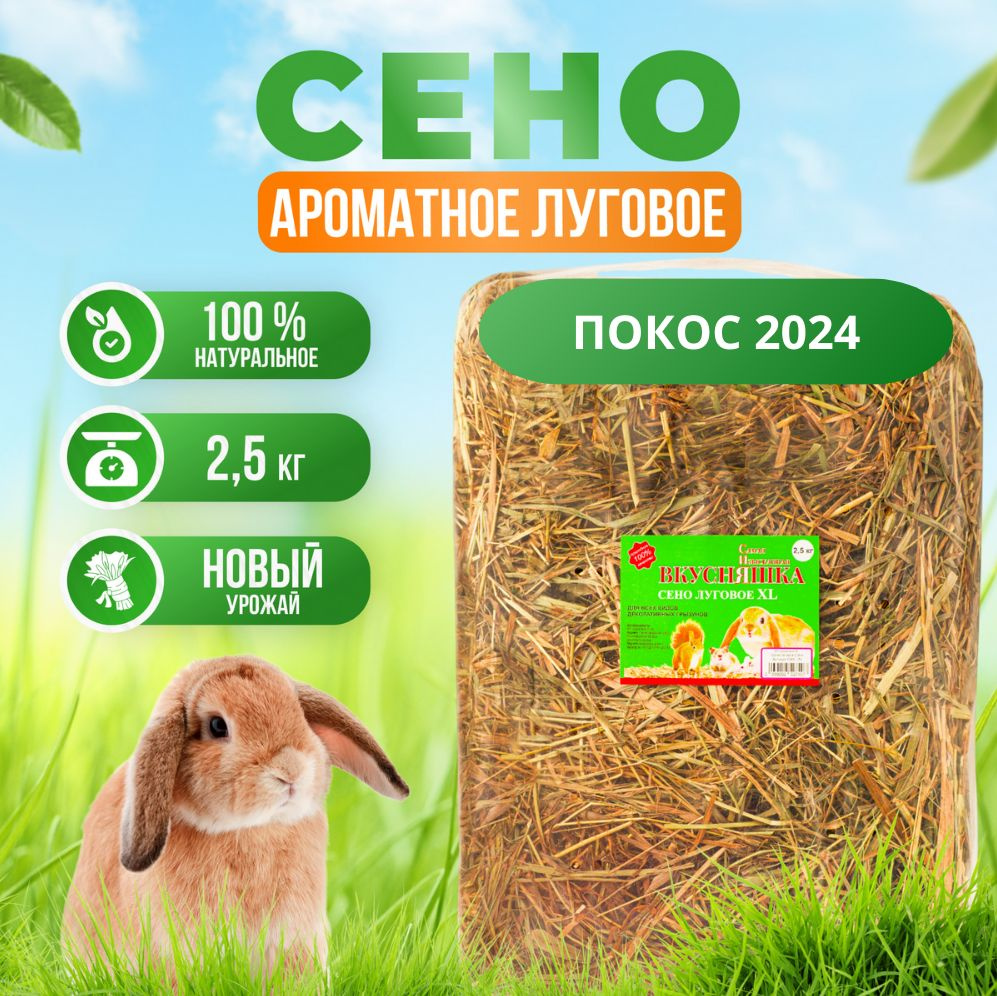 Сено луговое сушеное 2500 гр #1