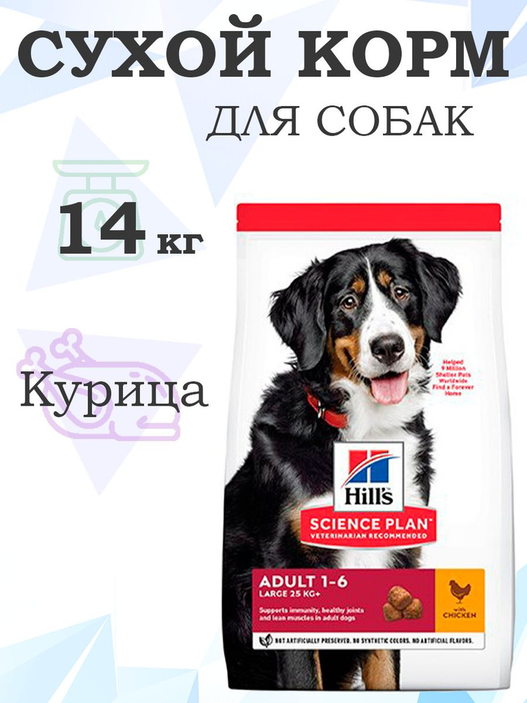 HILLS SCIENCE PLAN ADULT 1-6 LARGE CHICKEN 604387 / Хиллс Корм для собак сухой, Крупных пород Курица, #1