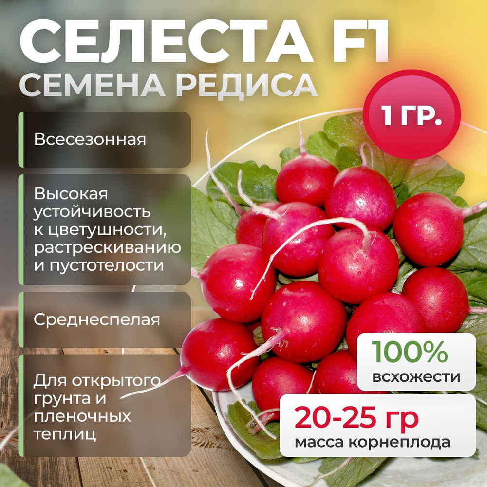 Селеста F1 семена редиса, 1 гр. (Enza Zaden / ALEXAGRO). Высокоурожайный гибрид для открытого грунта #1