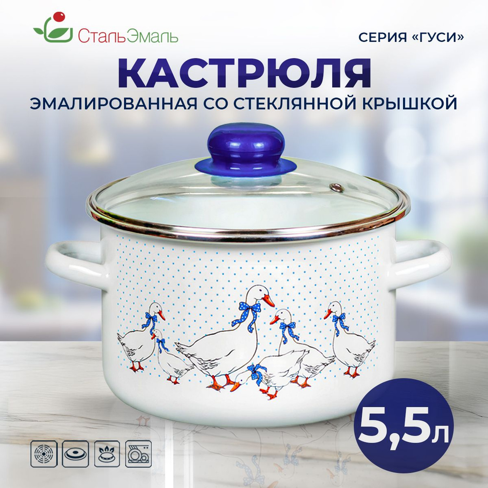 Кастрюля эмалированная 5,5л со стеклянной крышкой Гуси #1