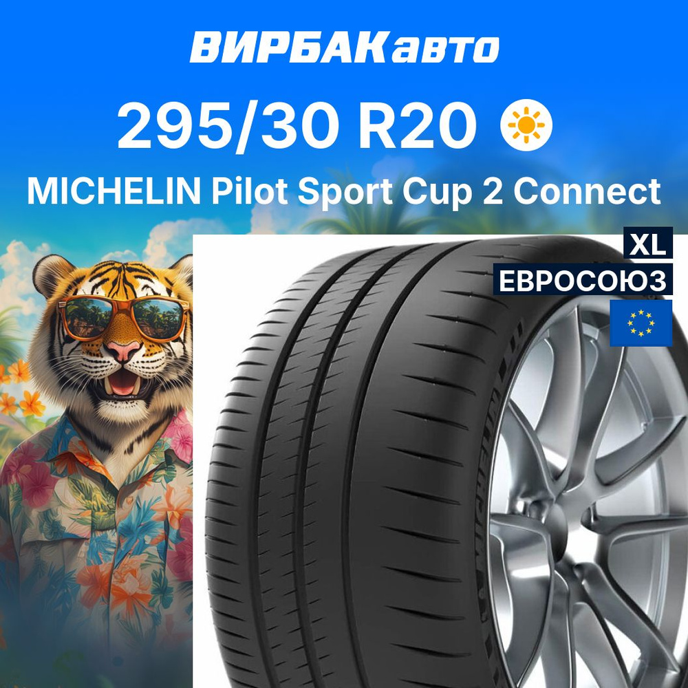 MICHELIN Pilot Sport Cup 2 Connect Шины  летние 295/30  R20 101Y #1