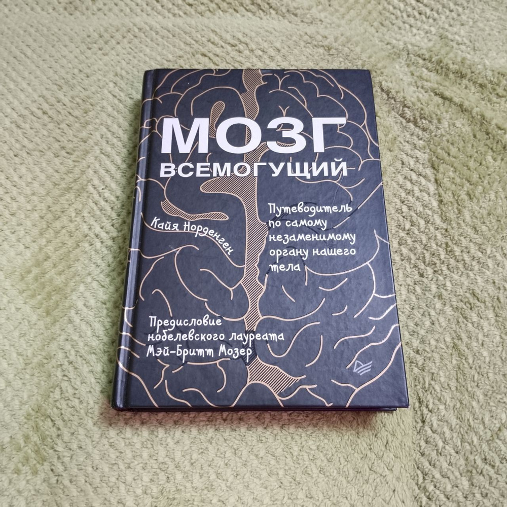 Норденген К. Мозг всемогущий. Путеводитель по самому незаменимому органу нашего тела | Норденген Кайя #1