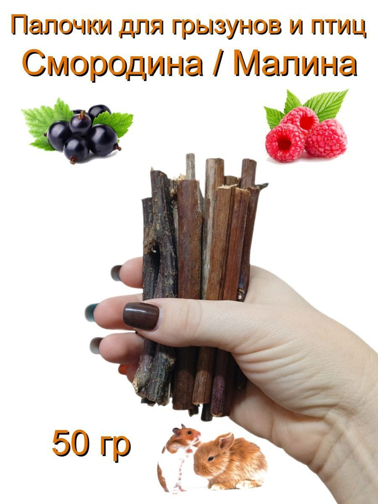 Лакомство для грызунов и птиц: палочки смородины и малины 50 гр  #1