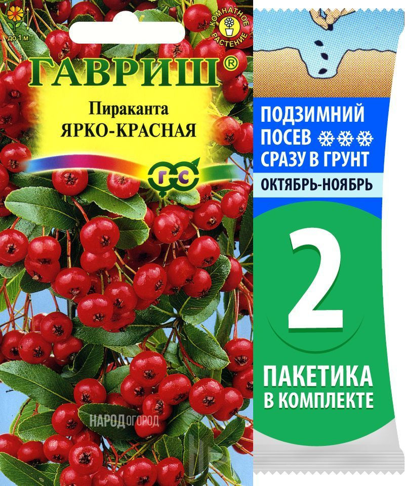 Семена Пираканта Ярко-красная, 2 пакетика по 5шт #1