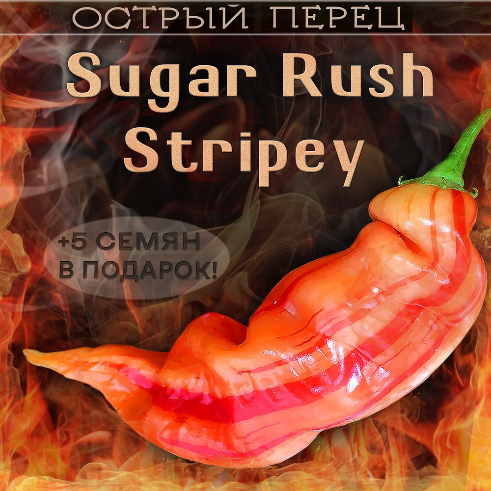 Перец острый Sugar Rush Stripey Полосатая лихорадка семена 7 шт. +5 шт. другого сорта в подарок  #1