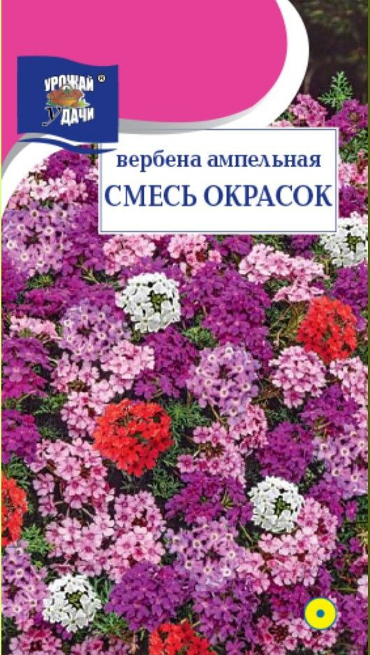 Вербена ампельная СМЕСЬ окрасок (Семена УРОЖАЙ УДАЧИ, 0,1 г семян в упаковке)  #1