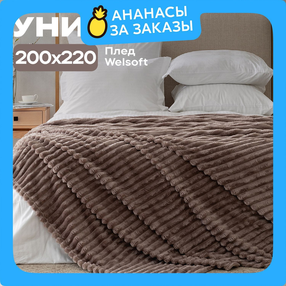 Новогодний Плед велсофт 200х220 "Унисон" Powder #1