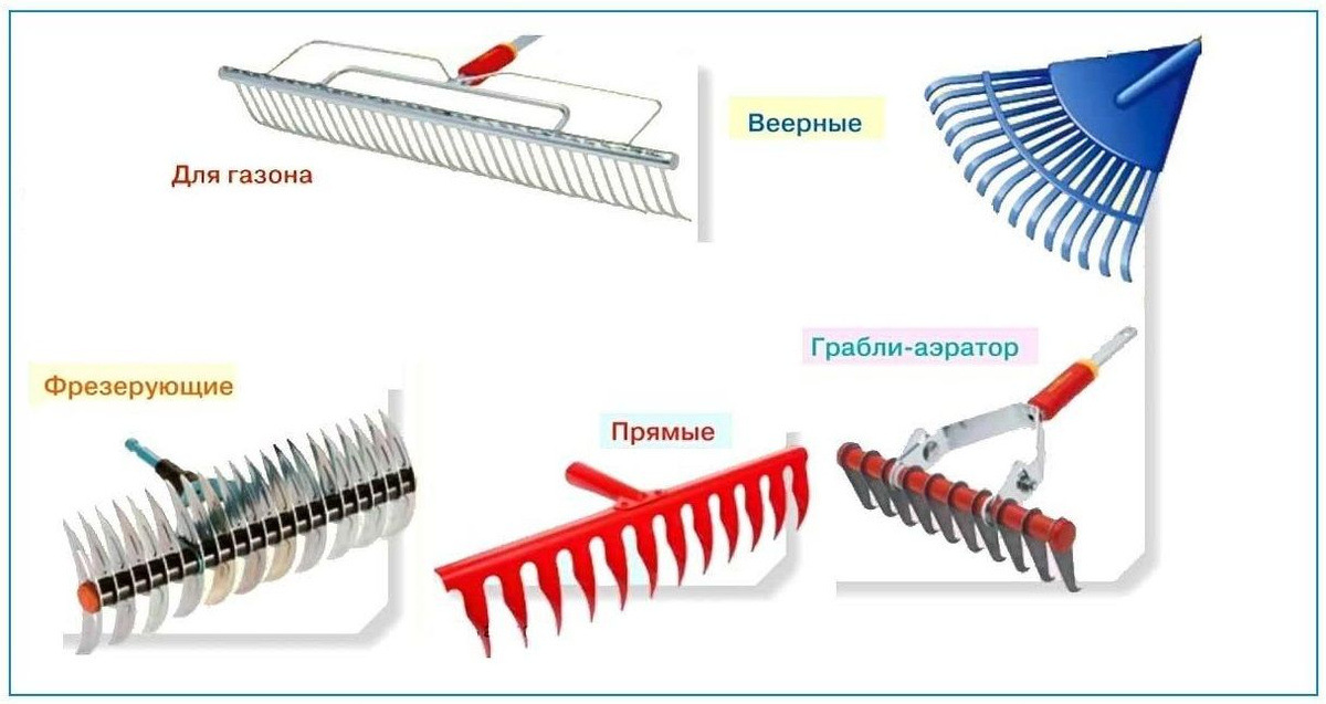 Грабли. Все виды, характеристики и рекомендации по выбору У садоводов и огородников грабли – один из основных инструментов для работы на земле.