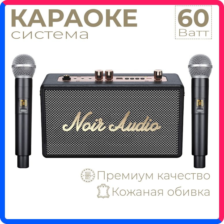 Купить по выгодной цене Караоке система NOIR-audio CLASSIC с двумя беспроводными микрофонами, с функцией Bluetooth и USB разъемом с доставкой