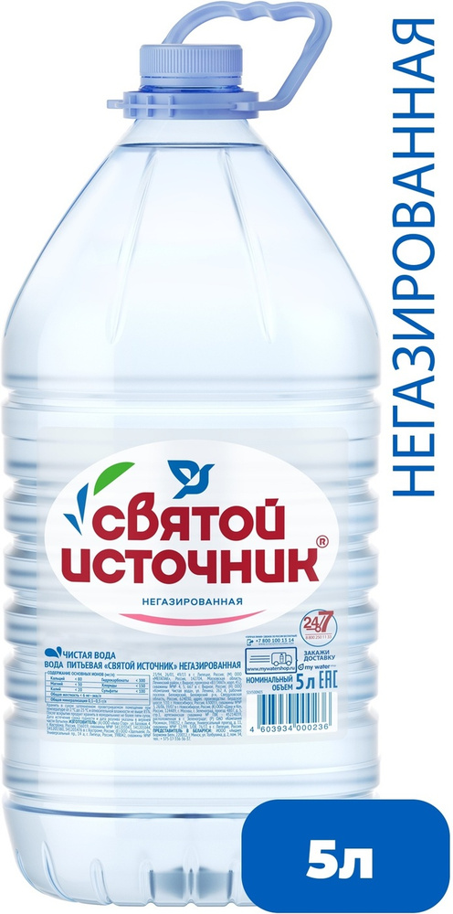 Святой Источник Вода Питьевая Негазированная 5000мл. 2шт #1