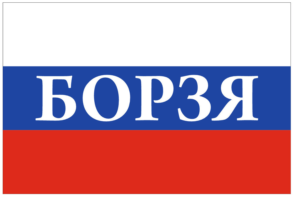 Флаг России с надписью Борзя 90х135 см #1