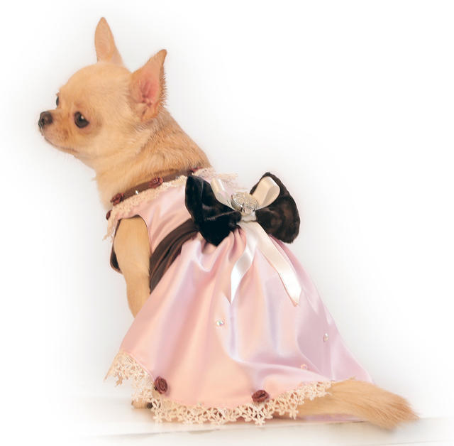 Платье для собак "Шебби шик" #1