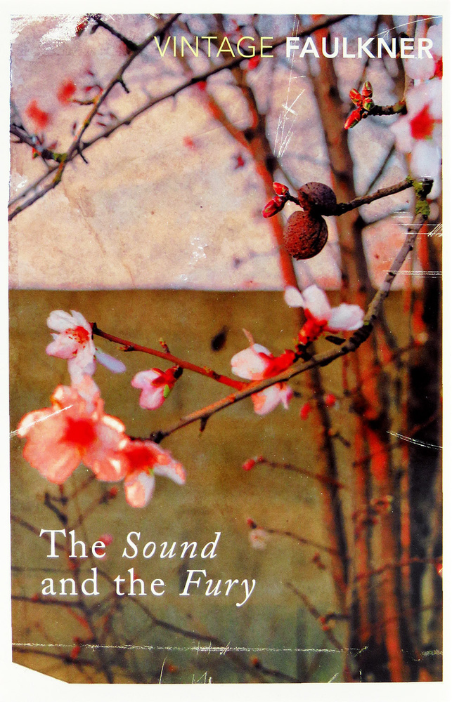 Sound and the fury | William Faulkner H. #1