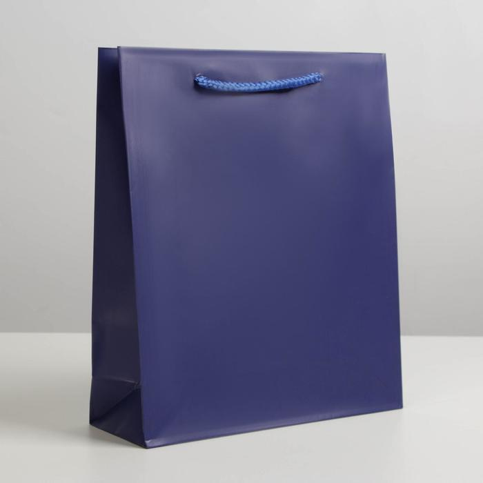 Пакет ламинированный "Синий", ML 21 х 25 х 8 см #1