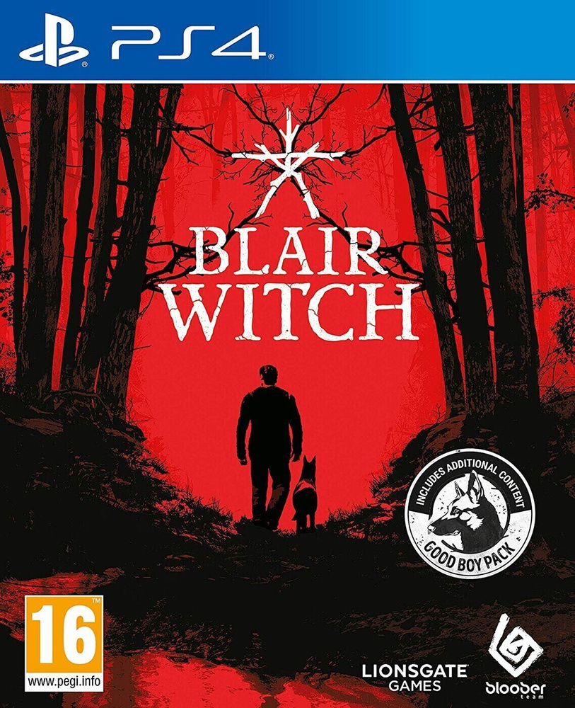 Игра Blair Witch (PlayStation 4, Русские субтитры) купить по низкой цене с  доставкой в интернет-магазине OZON (557873559)