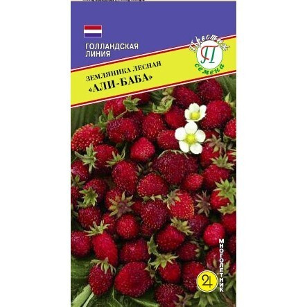 Семена Земляника Али-Баба 0,1 г (Голландия) (Престиж). Подходит для выращивания в домашних условиях. #1