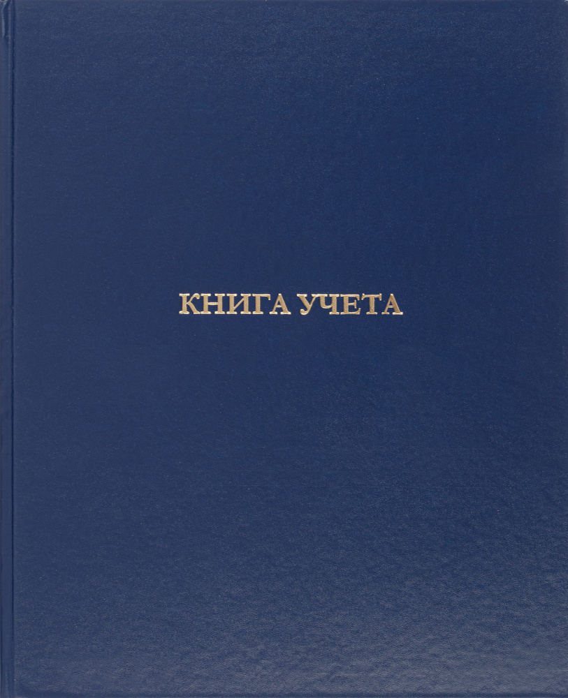 Книга учета бухгалтерская Attache офсет 210x265 мм 96 листов в клетку на сшивке (обложка бумвинил)  #1