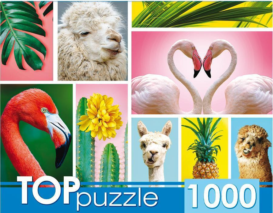 Пазл TOP Puzzle 1000 деталей, элементов: Модный коллаж #1