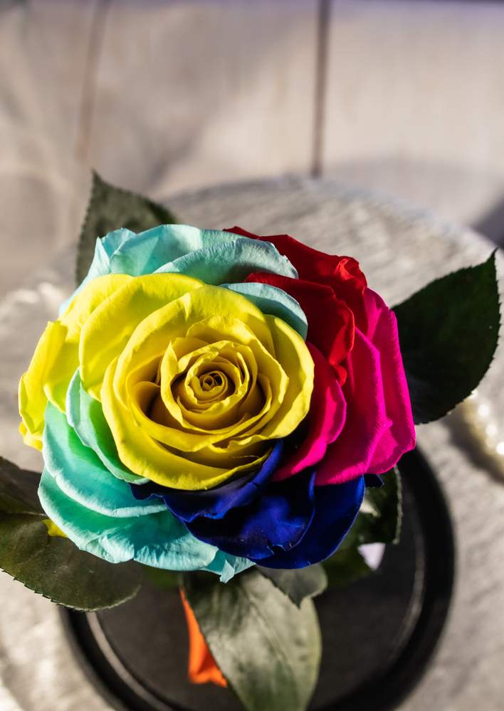Роза в колбе живая, вечная, стабилизированная" L" 27см, подарок маме, женщине, на 8 марта , на день рождения, #1