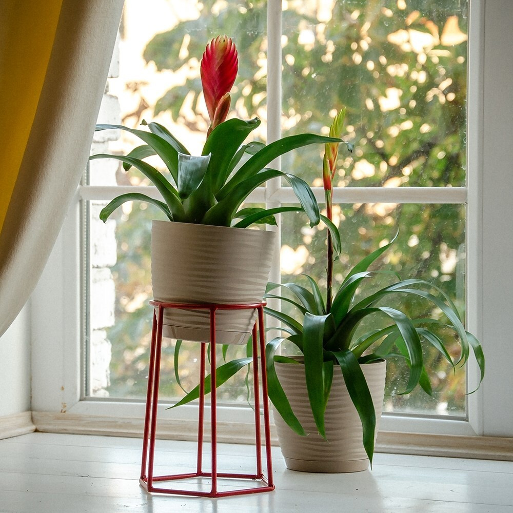 Подставка для цветов на подоконник, стойка для растений, цветочница для кашпо диаметром до 12 см 66-600-Red #1