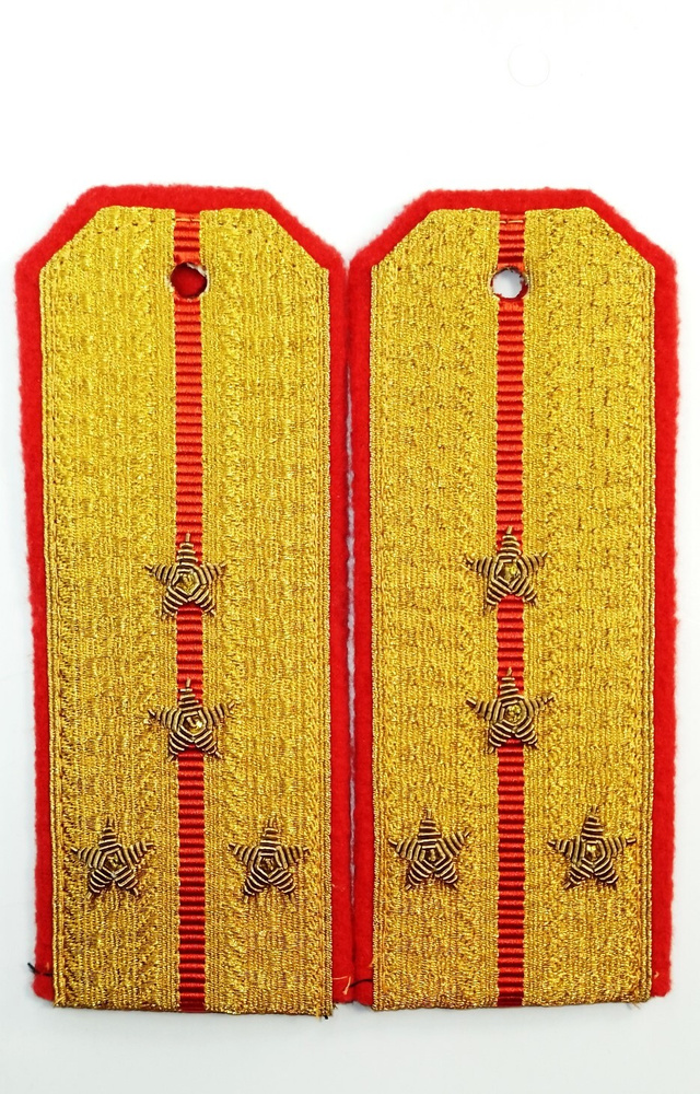 Погоны Министерства обороны (МО) парадные капитан, золотые , 1 красный кант, красный просвет, вышивка #1