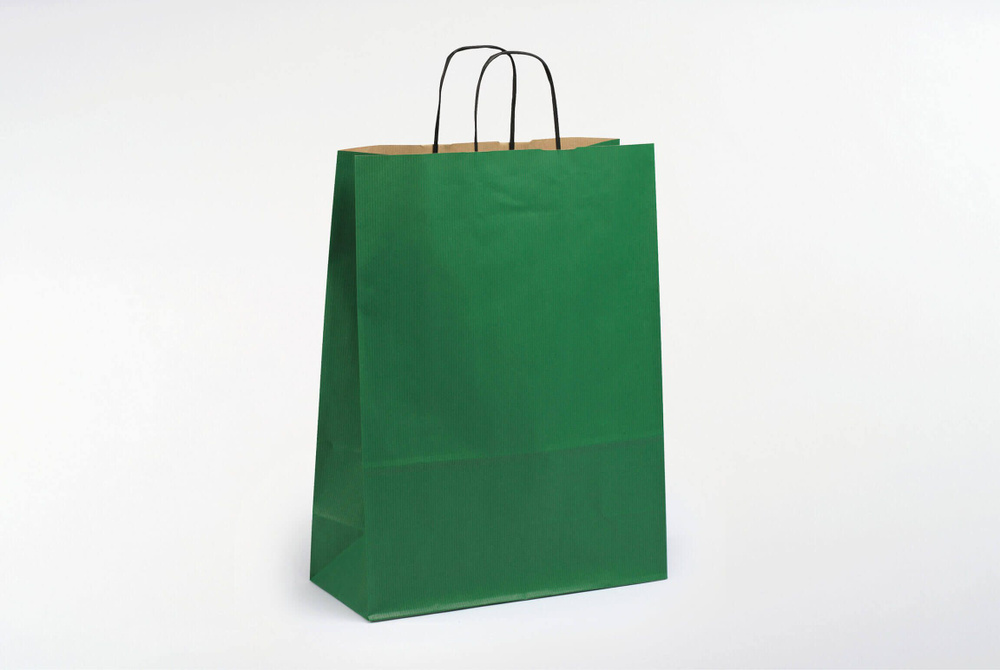 Пакет Toptwist темно-зеленый, крученые ручки, 240х310х110 арт.65 #1