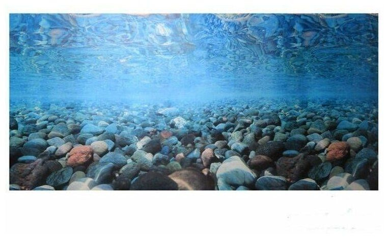 HOMEFISH Морские камни 40 см х 1500 см фон для аквариума #1