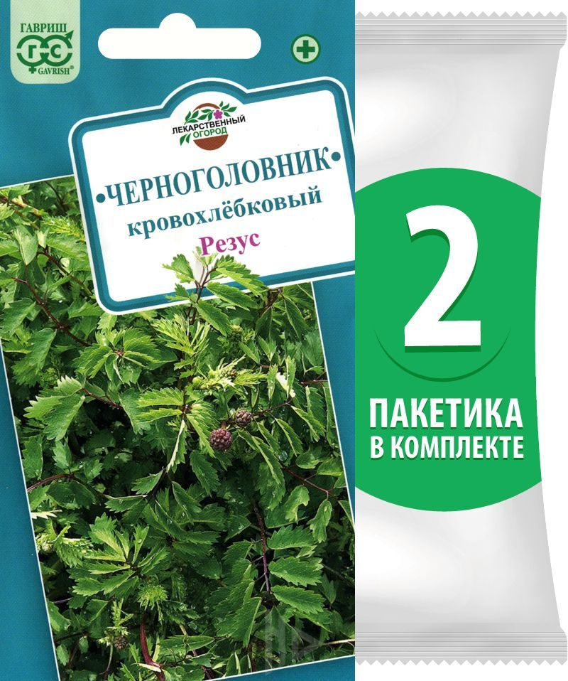 Семена Черноголовник кровохлебковый Резус, 2 пакетика по 0,5г/50шт  #1