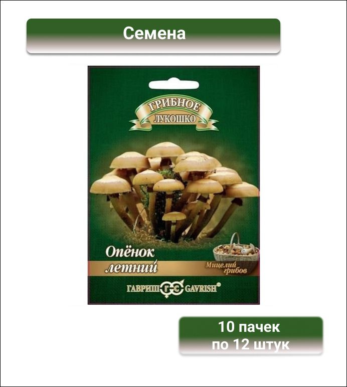 Гавриш Опенок летний на древесной палочке, большой пакет, 10 пачек по 12 штук  #1