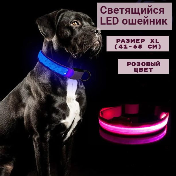 Светящийся ошейник для собак, для крупных, средних и маленьких пород, светодиодный LED с регулировкой #1