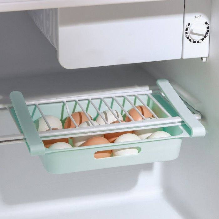 Полка для яиц в холодильник, подвесная, 12 ячеек, 26x17x5 см, цвет МИКС - 1 штука.  #1