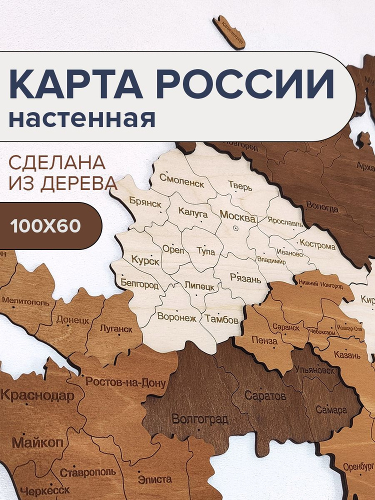 Карта России настенная деревянная двухуровневая 100х60см / Карта России из дерева / декор на стену  #1