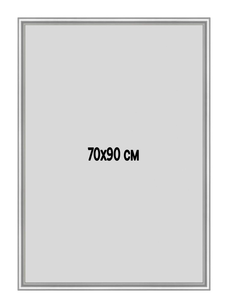 Фоторамка металлическая (алюминиевая) серебристая для постера, фотографии, картины 70х90 см. Рамка для #1